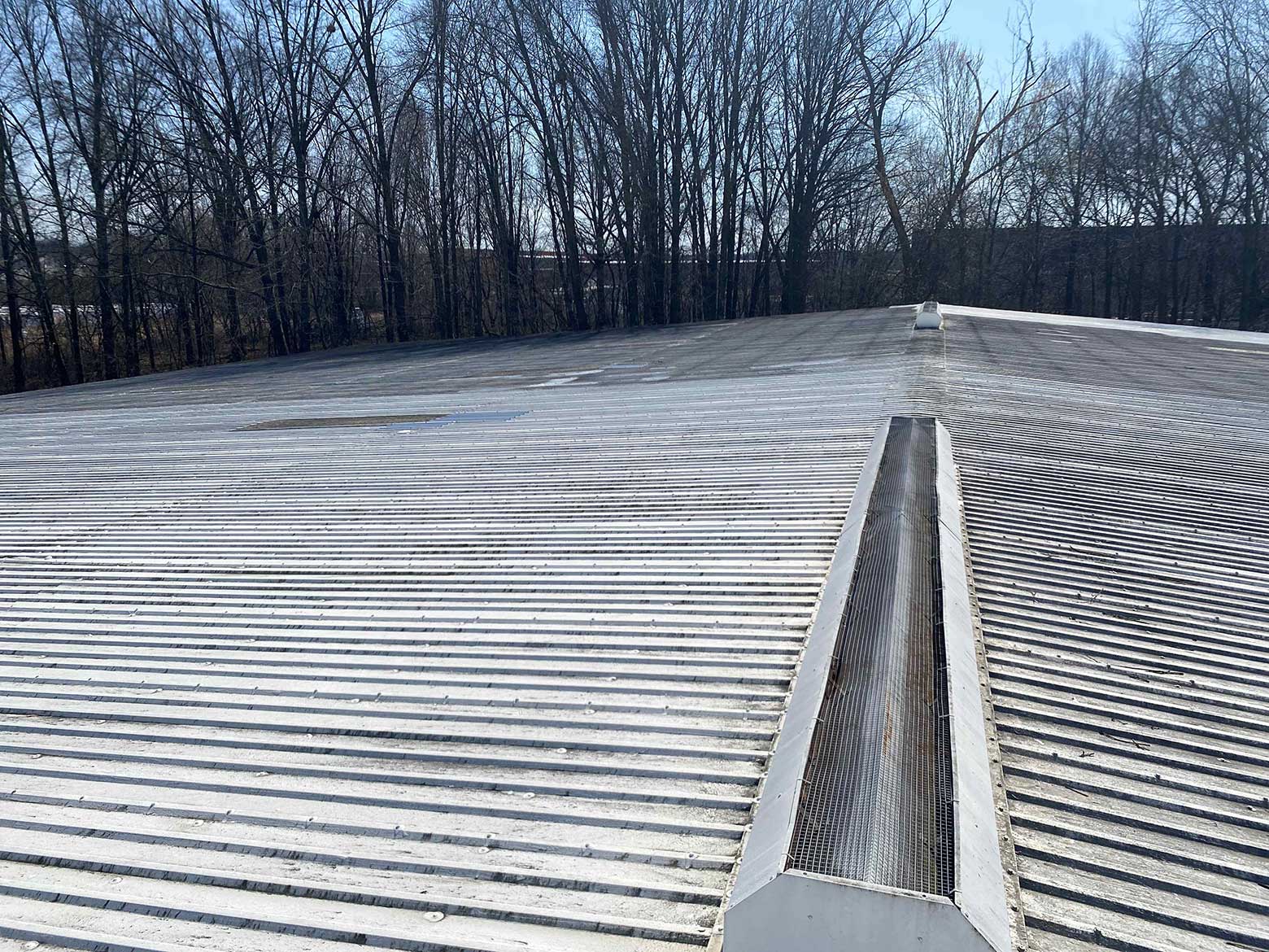 hern paper commercial roof before