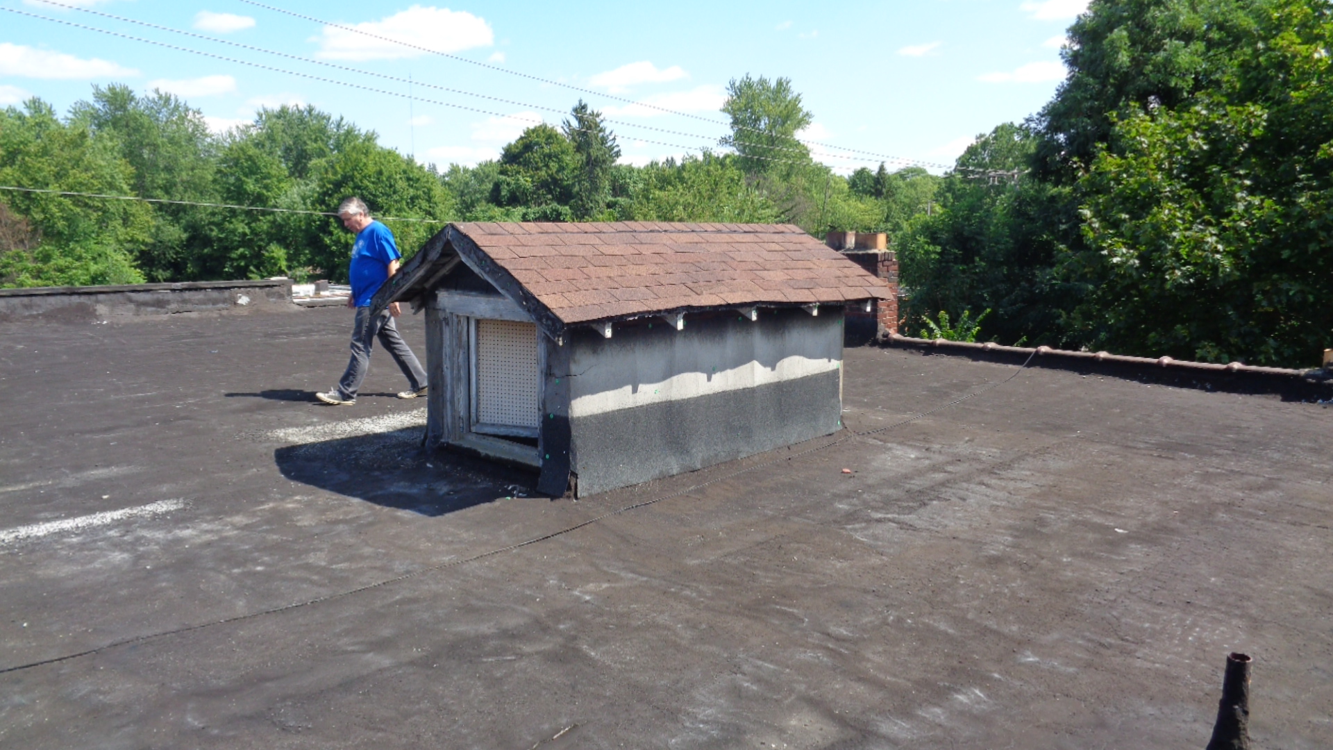 koerth building roof before